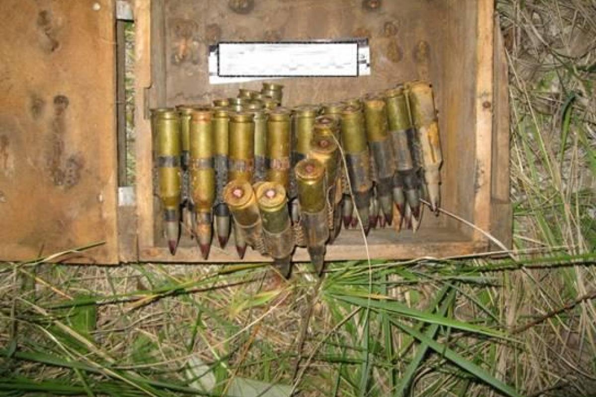 В Киевской области нашли схрон с боеприпасами В Киевской области нашли схрон с боеприпасами