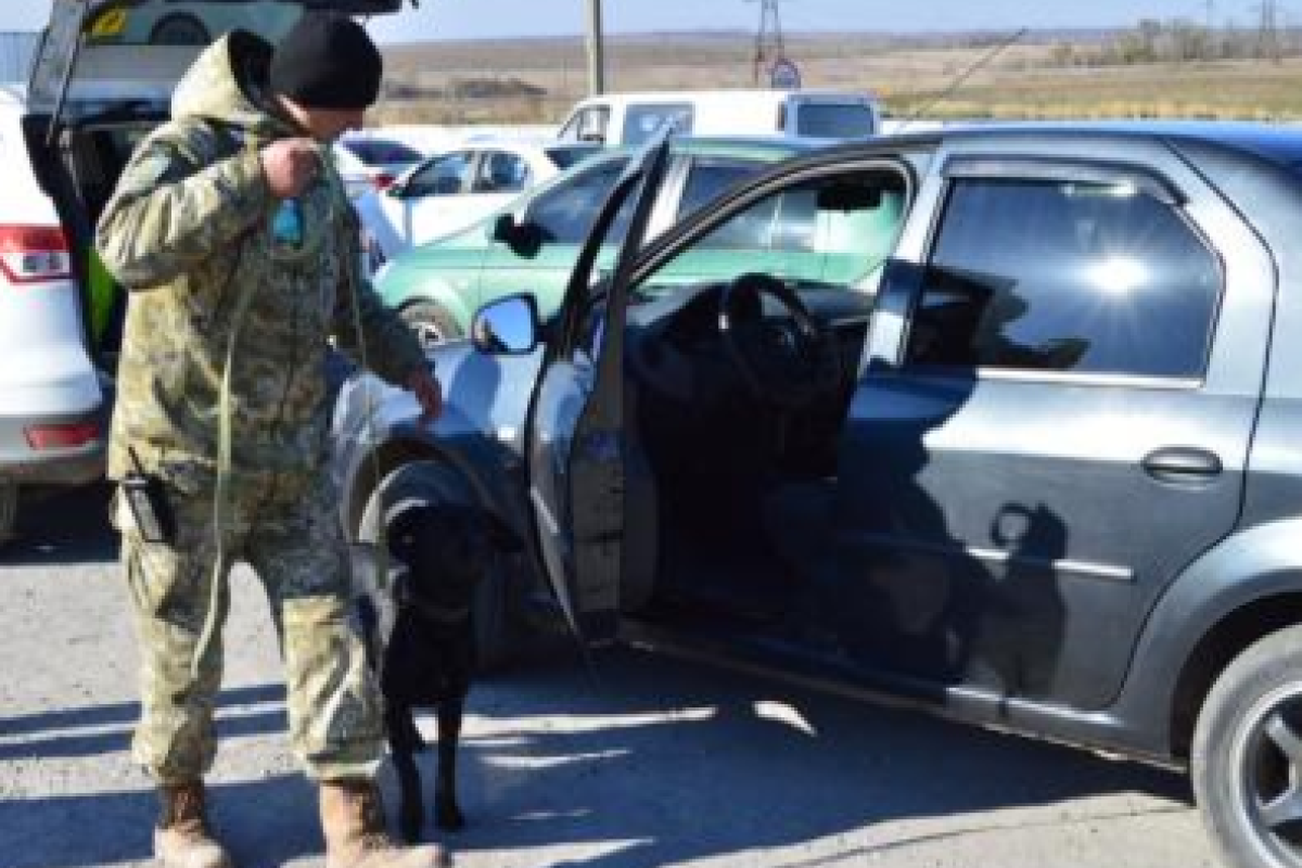 За сутки линию разграничения на Донбассе пересекли более 24 тысяч человек За сутки линию разграничения на Донбассе пересекли более 24 тысяч человек