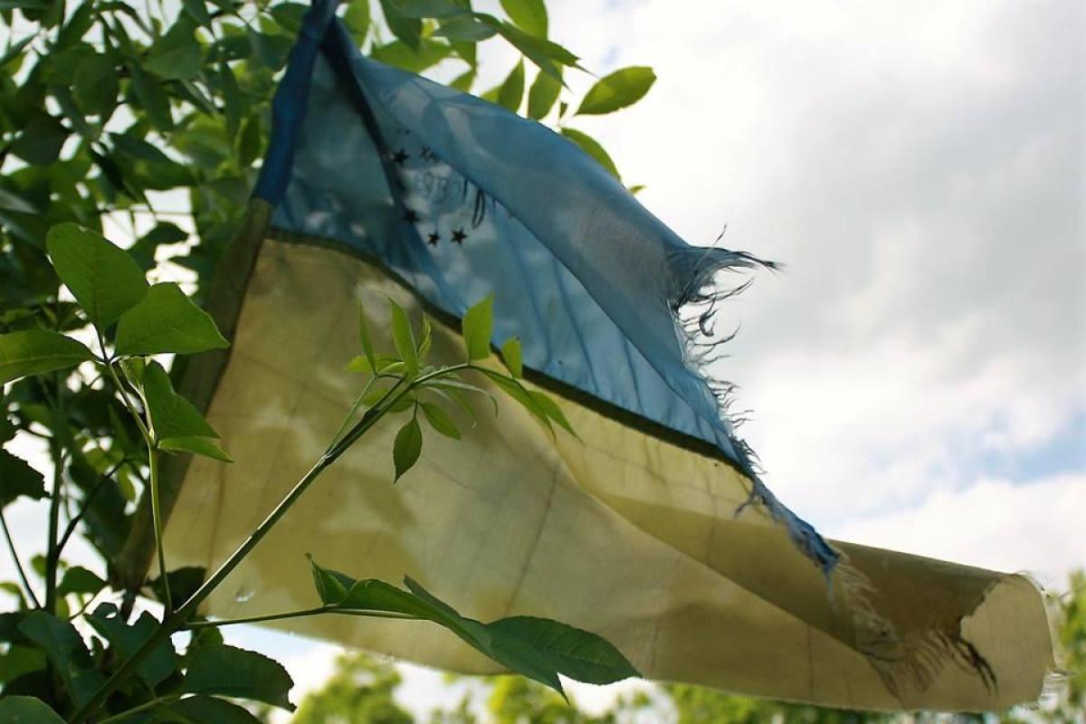 Бойцы 93 бригады ВСУ выровняли линию фронта и обустроили новые позиции