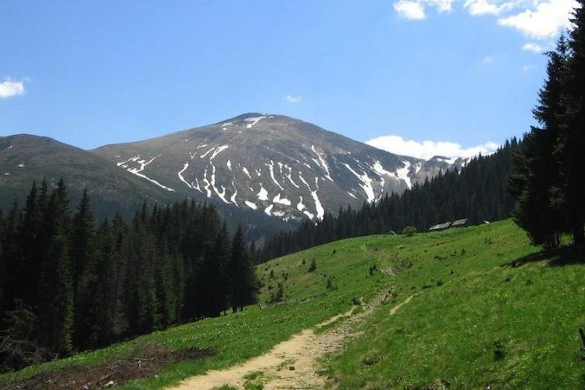 Спасатели нашли туриста, заблудившегося во время восхождения на г. Говерла