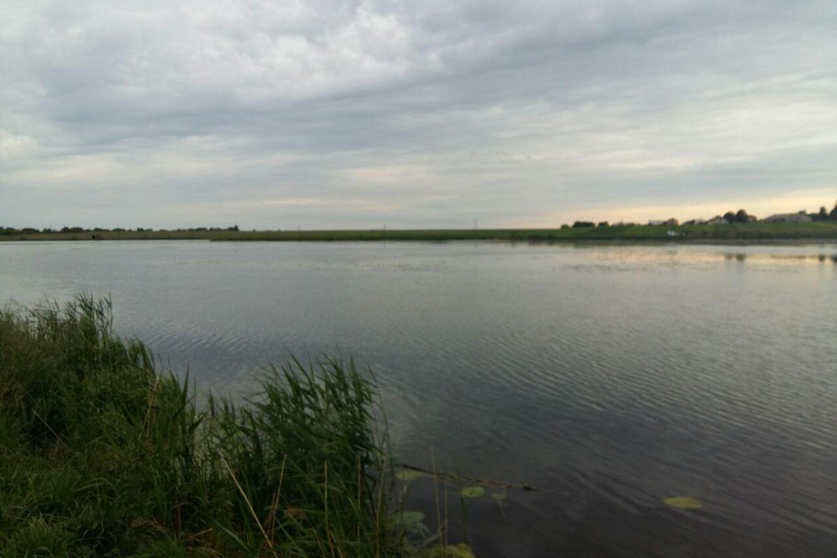 В Ровенской области спасли 11-летнего тонущего мальчика