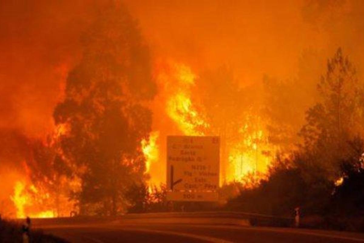 Число жертв в результате масштабного пожара в Португалии растет Число жертв в результате масштабного пожара в Португалии растет