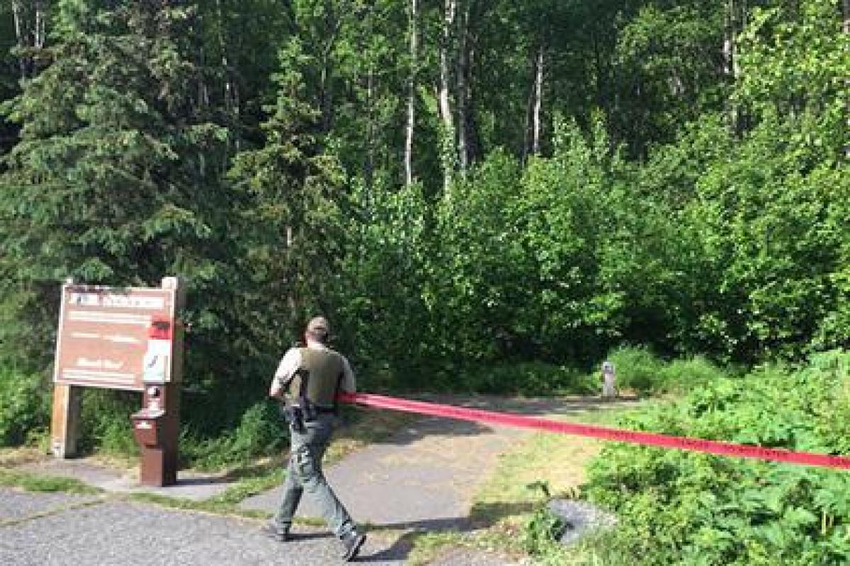 В США медведь загрыз спортсмена во время марафона, парень успел отправить маме последнее смс 