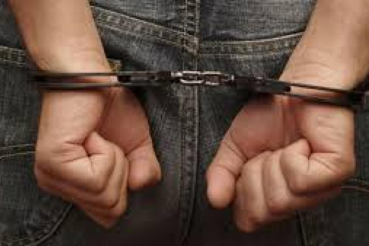 В Украину экстрадировали подозреваемого в похищении ребенка на Волыни В Украину экстрадировали подозреваемого в похищении ребенка на Волыни