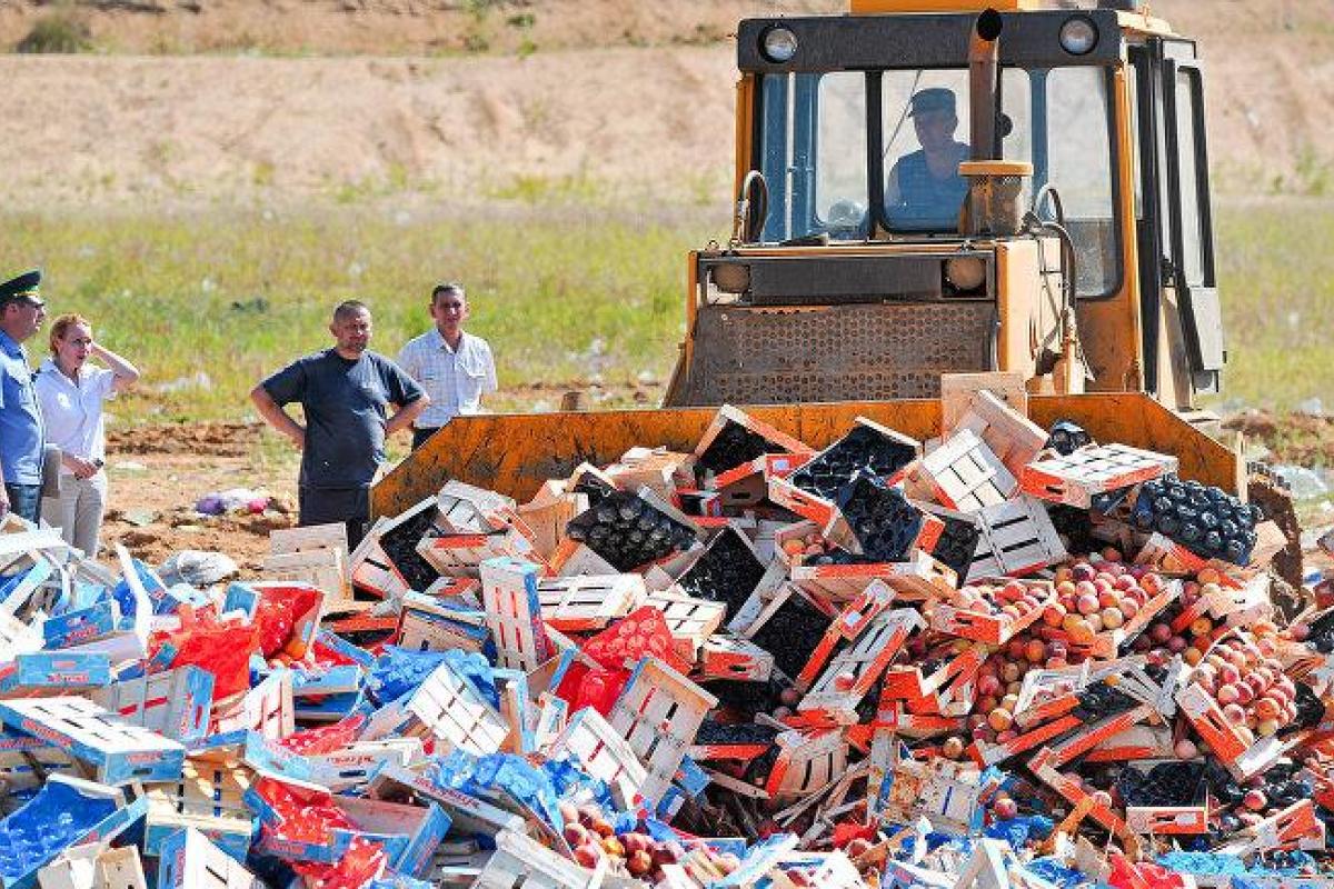 Кремль продлил контрсанкции: продукты из Украины и стран Запада не попадут в РФ в 2018 году