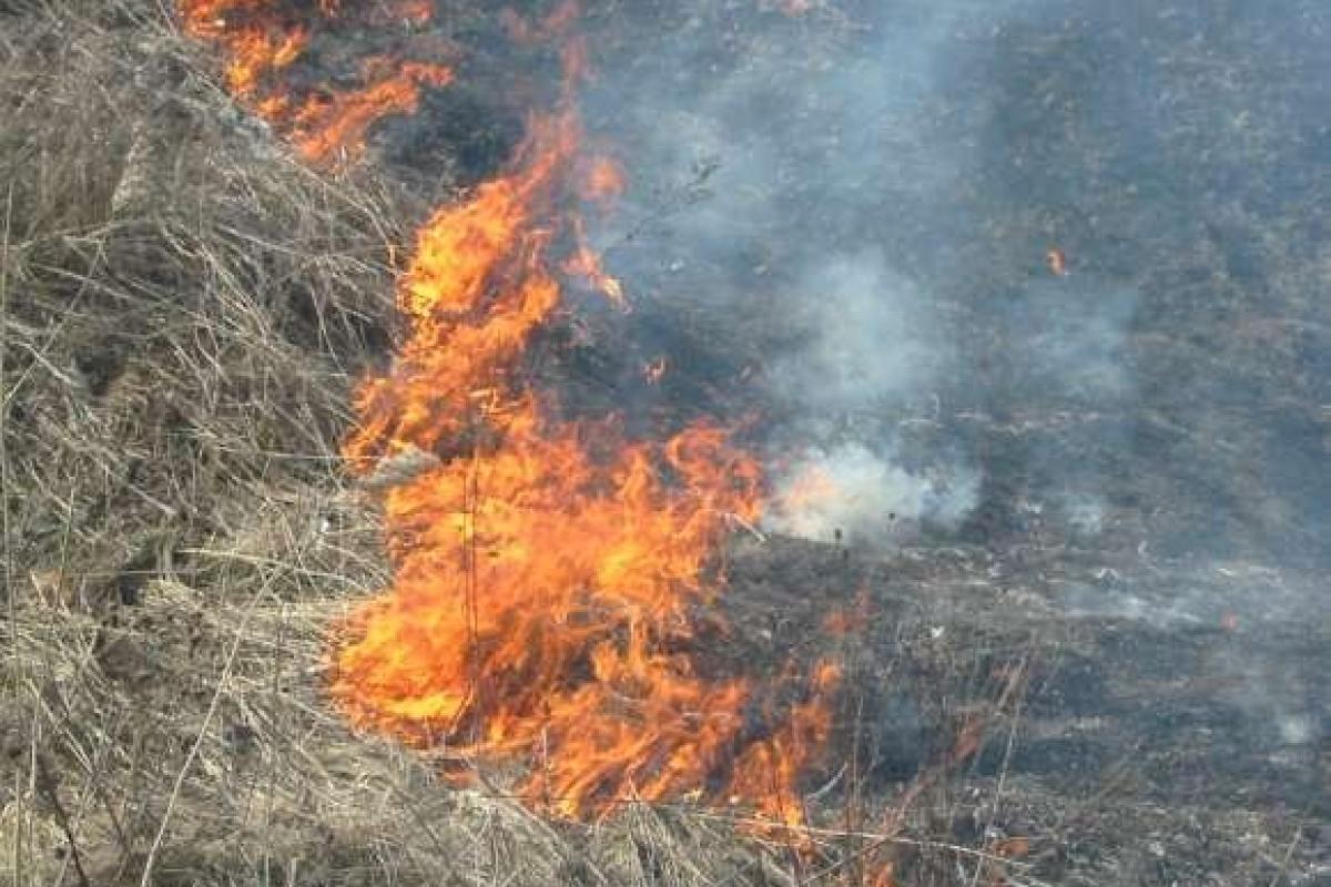 Пожар на военном полигоне в Днепропетровской области тушат уже почти сутки Пожар на военном полигоне в Днепропетровской области тушат уже почти сутки