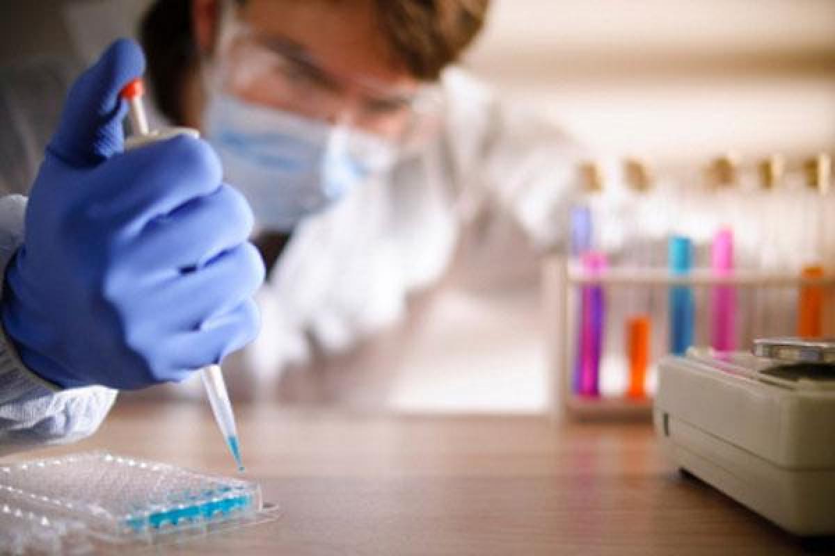 В Сумской области обнаружили сибирскую язву В Сумской области обнаружили сибирскую язву