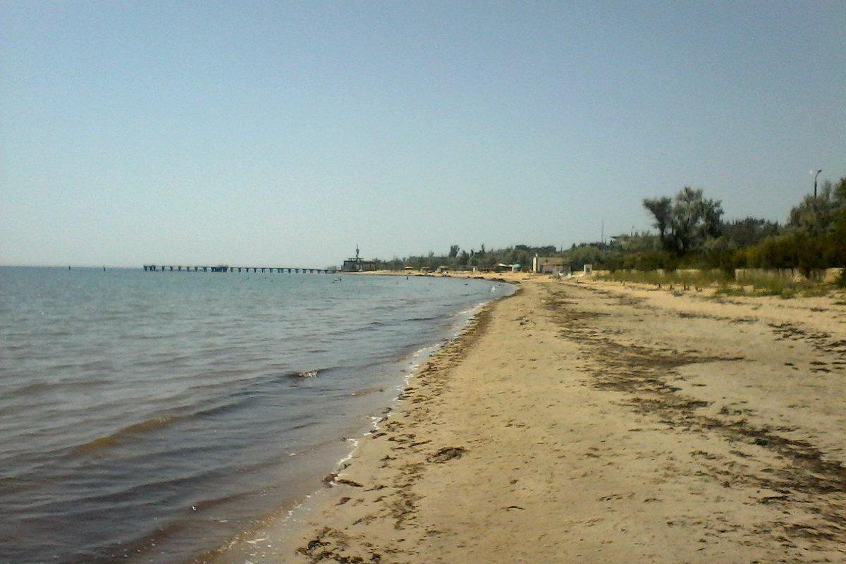 "Тина, жара, вонь... Но нюхать некому - пляжи пустые": соцсети об отдыхе в Крыму "Тина, жара, вонь... Но нюхать некому - пляжи пустые": соцсети об отдыхе в Крыму