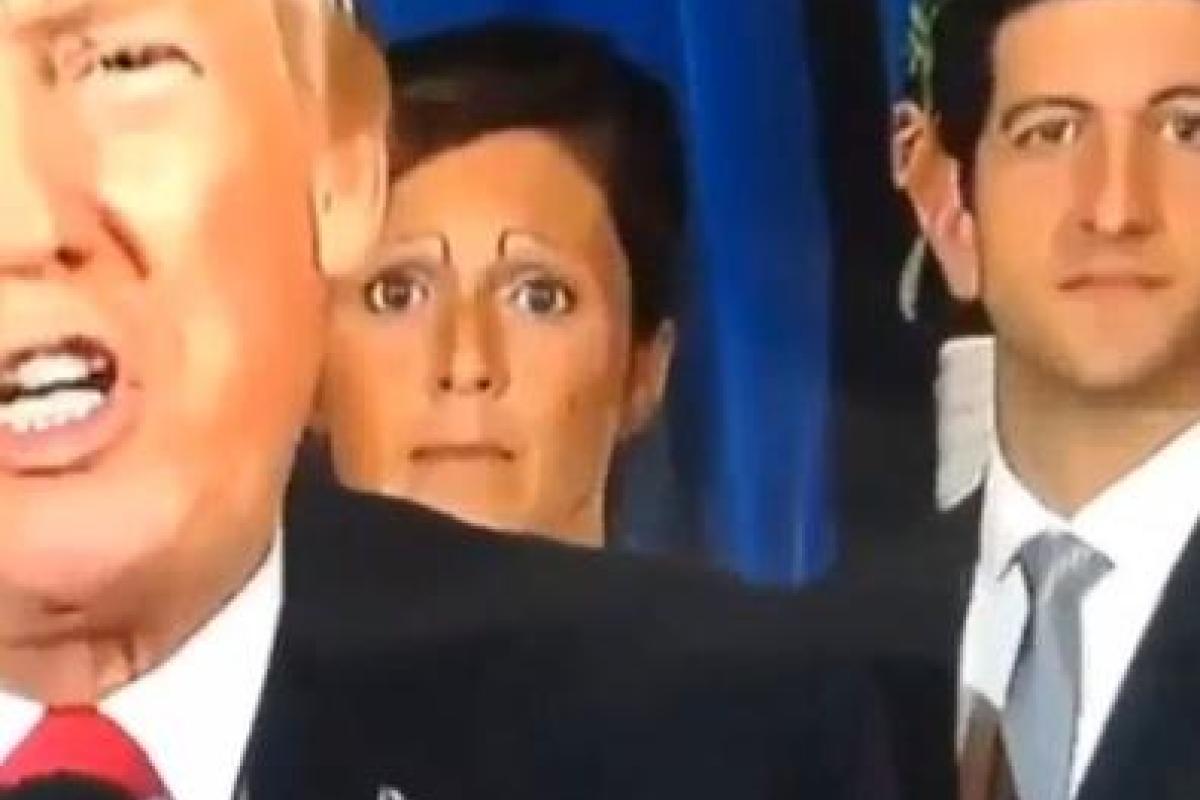 Женщина со странными бровями затмила выступление Трампа и взорвала сеть Женщина со странными бровями затмила выступление Трампа и взорвала сеть