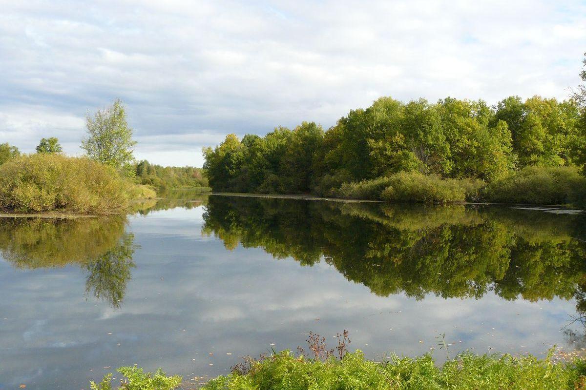 В "ЛНР" на реке Большая Каменка обнаружили расчлененный труп мужчины в хозяйственных сумках - соцсети