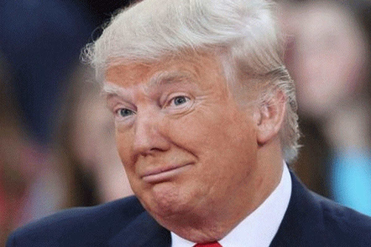 В США будут протестовать против президентства Дональда Трампа В США будут протестовать против президентства Дональда Трампа