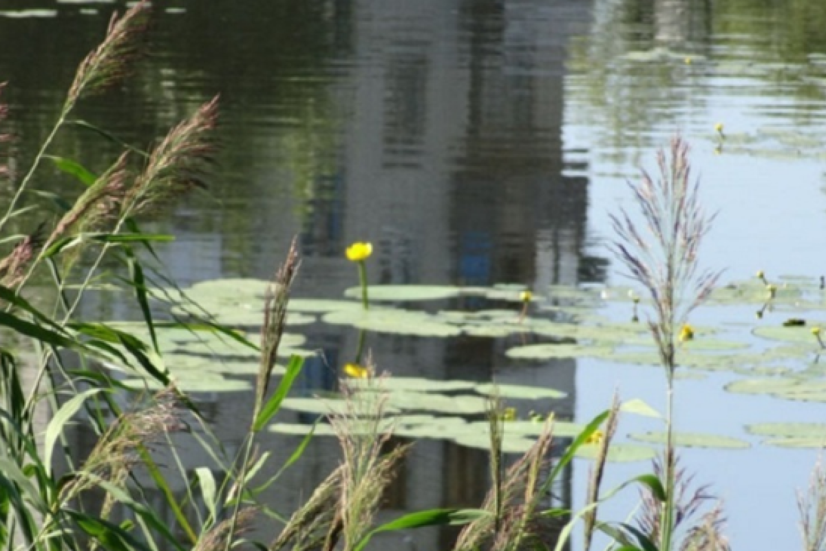 В Донецкой области утонула 14-летняя девочка