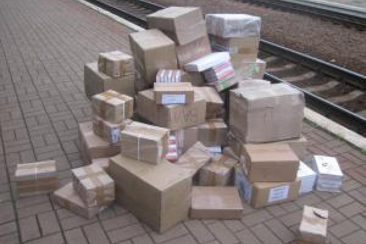 Проводник поезда вез из России большое количество печатной продукции