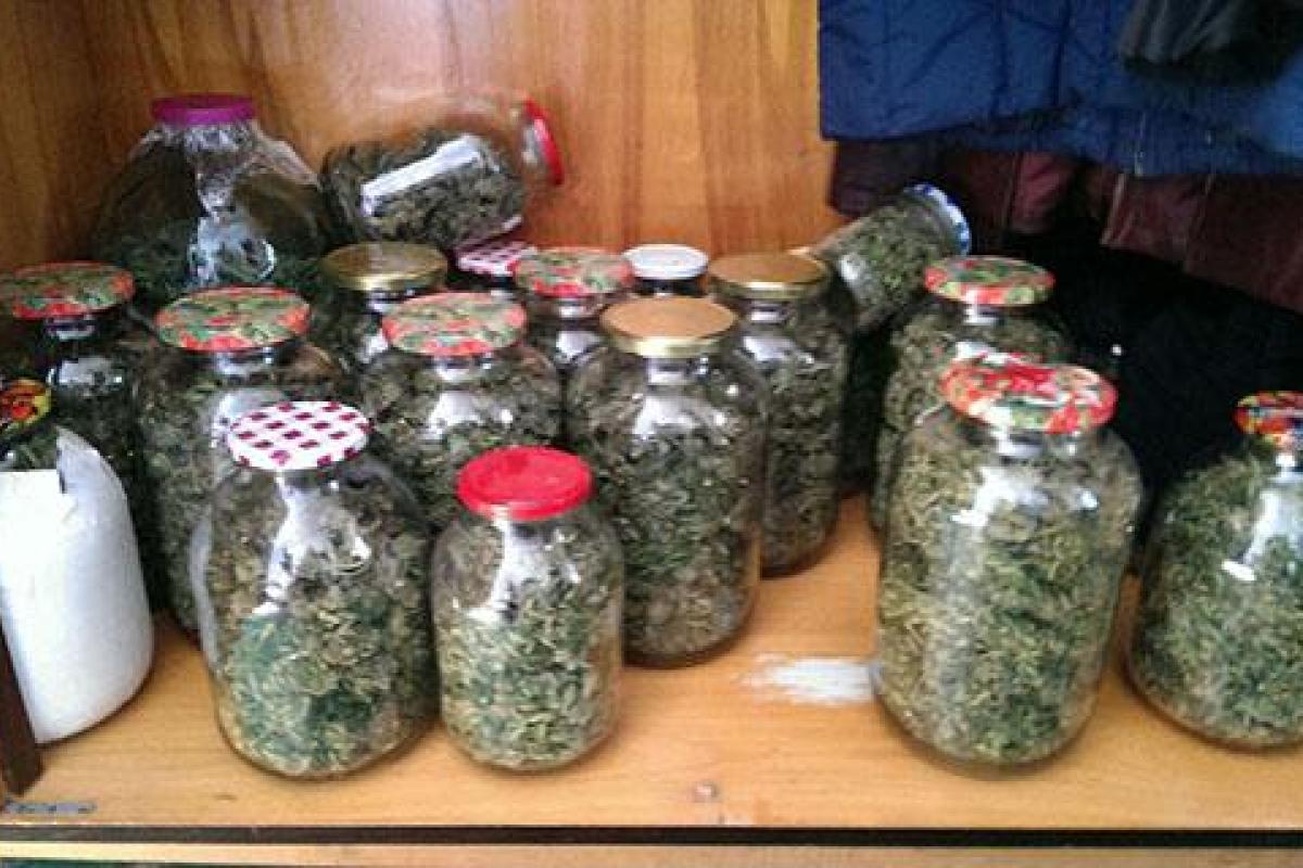 По решению суда в Мариуполе арестовали наркоагрария