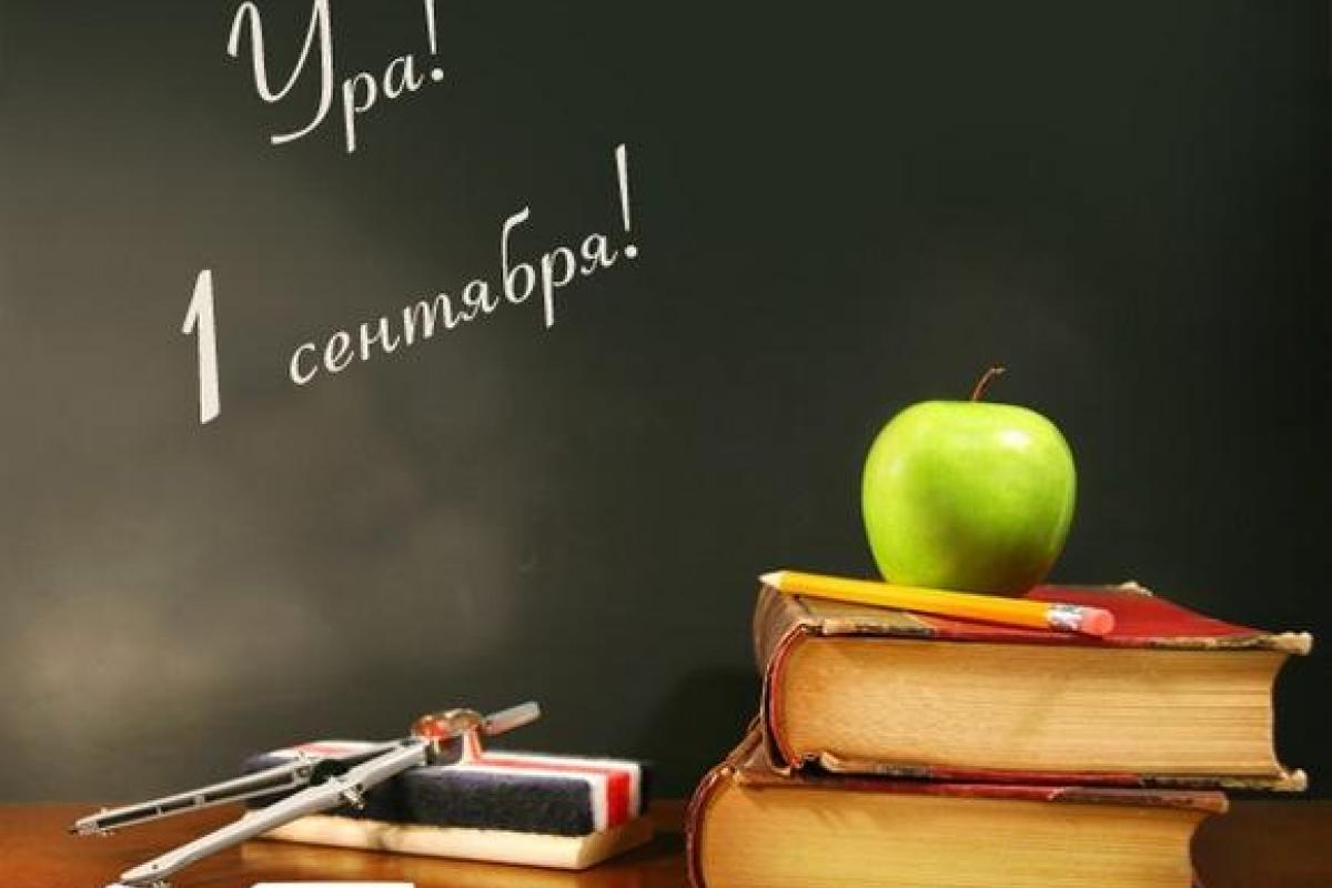 Ирина Геращенко призвала депутатов не выступать в школах 1 сентября