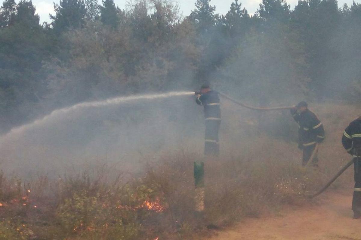В Николаевской области произошел масштабный пожар - кадры В Николаевской области произошел масштабный пожар - кадры