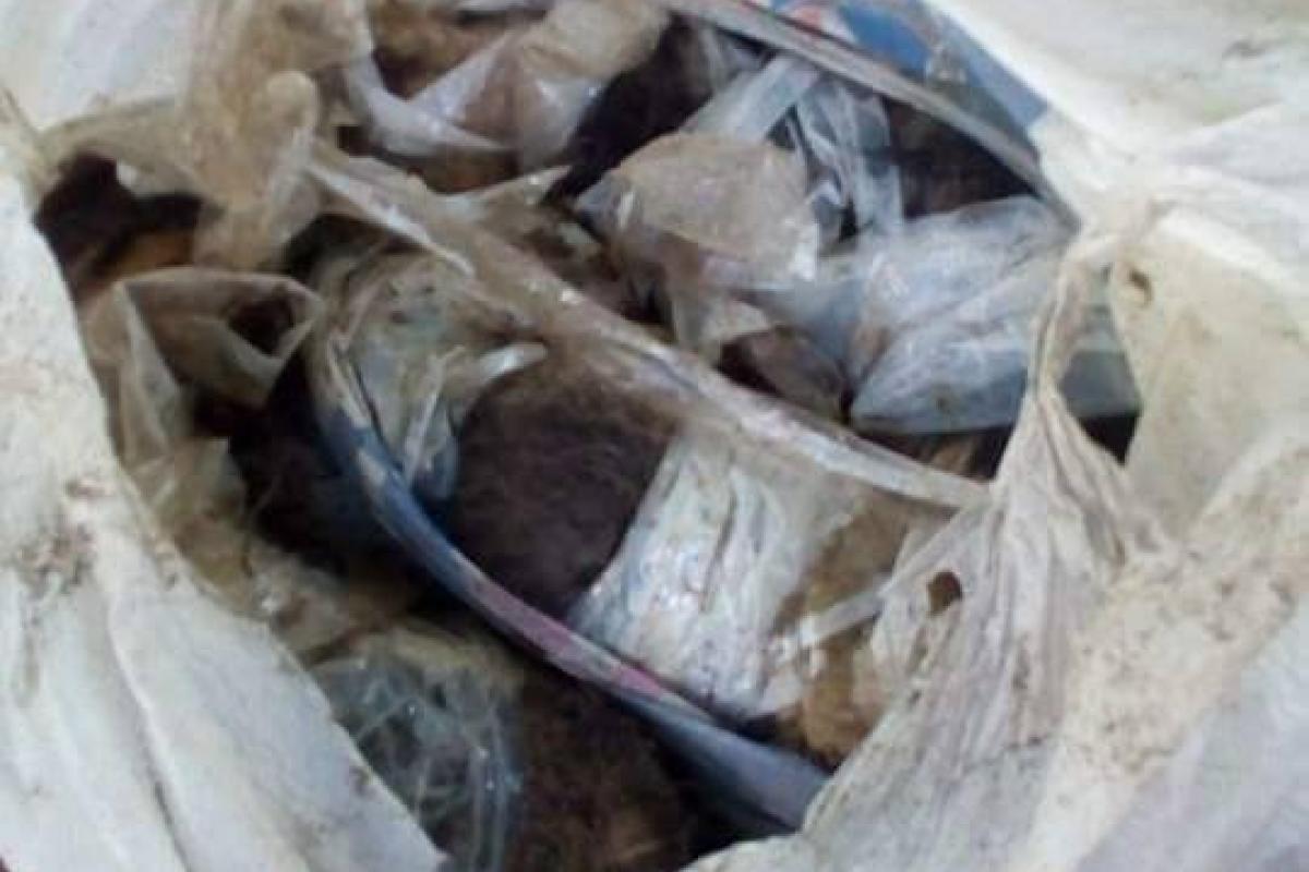 В Киеве найдены зверски убитые и замотанные в скотч котята (18+)