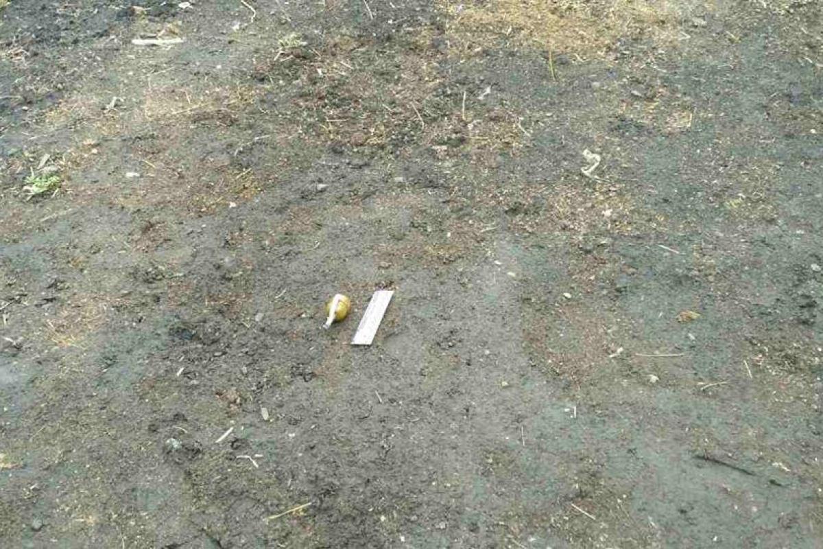 Под Харьковом женщина обнаружила гранату у себя в огороде