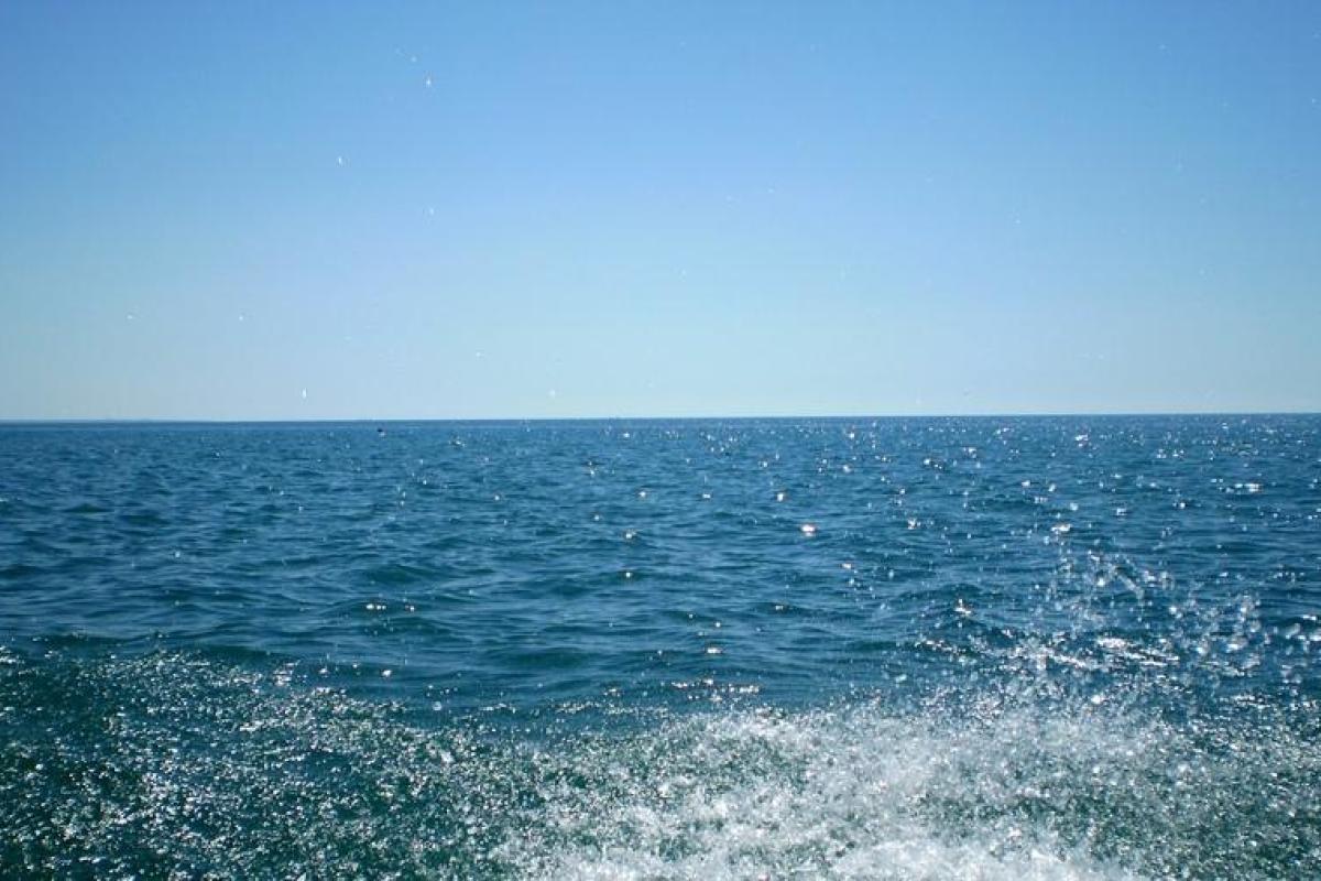 В Крыму закрыли шлагбаумом проезд к морю: отдыхающие в ярости В Крыму закрыли шлагбаумом проезд к морю: отдыхающие в ярости