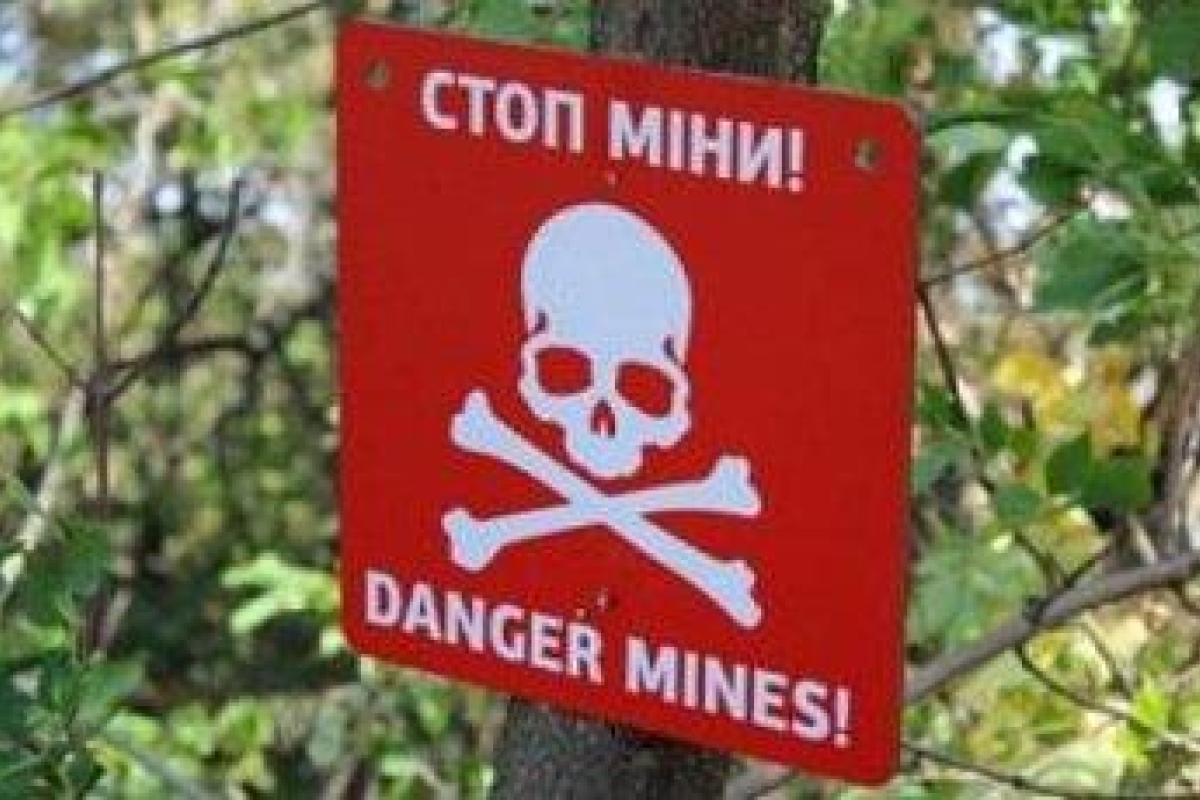 Трагедия в Луганской области: на взрывном устройстве подорвался 13-летний мальчик Трагедия в Луганской области: на взрывном устройстве подорвался 13-летний мальчик