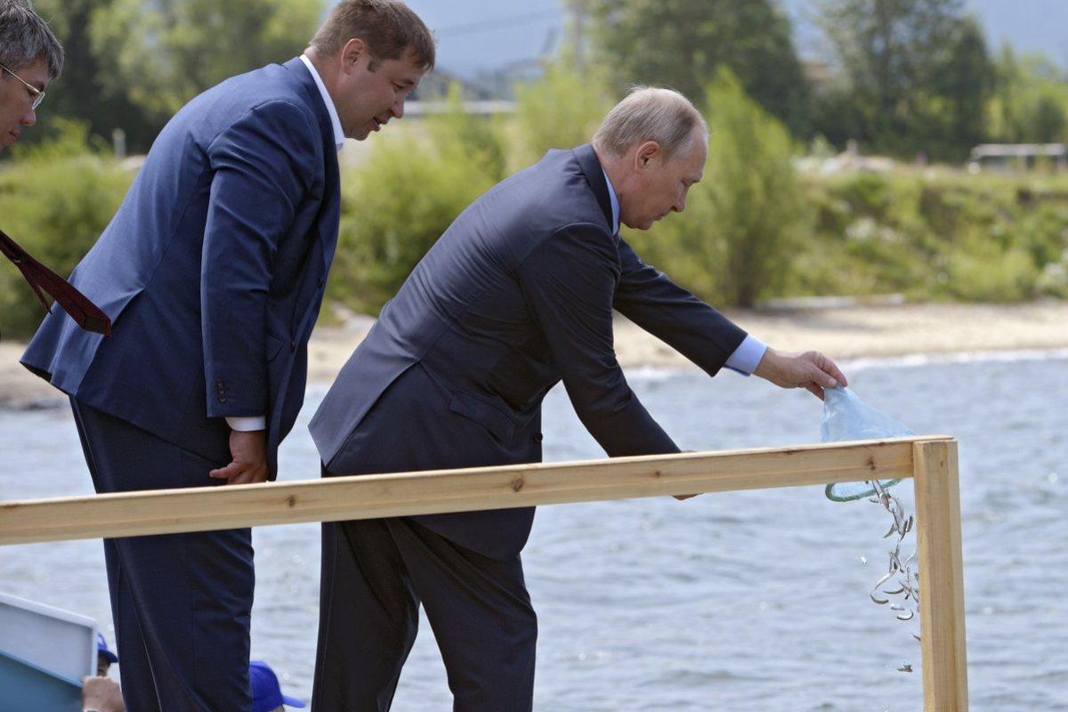 Бронежилет от удара в спину: Путин вновь стал объектом для шуток в сети