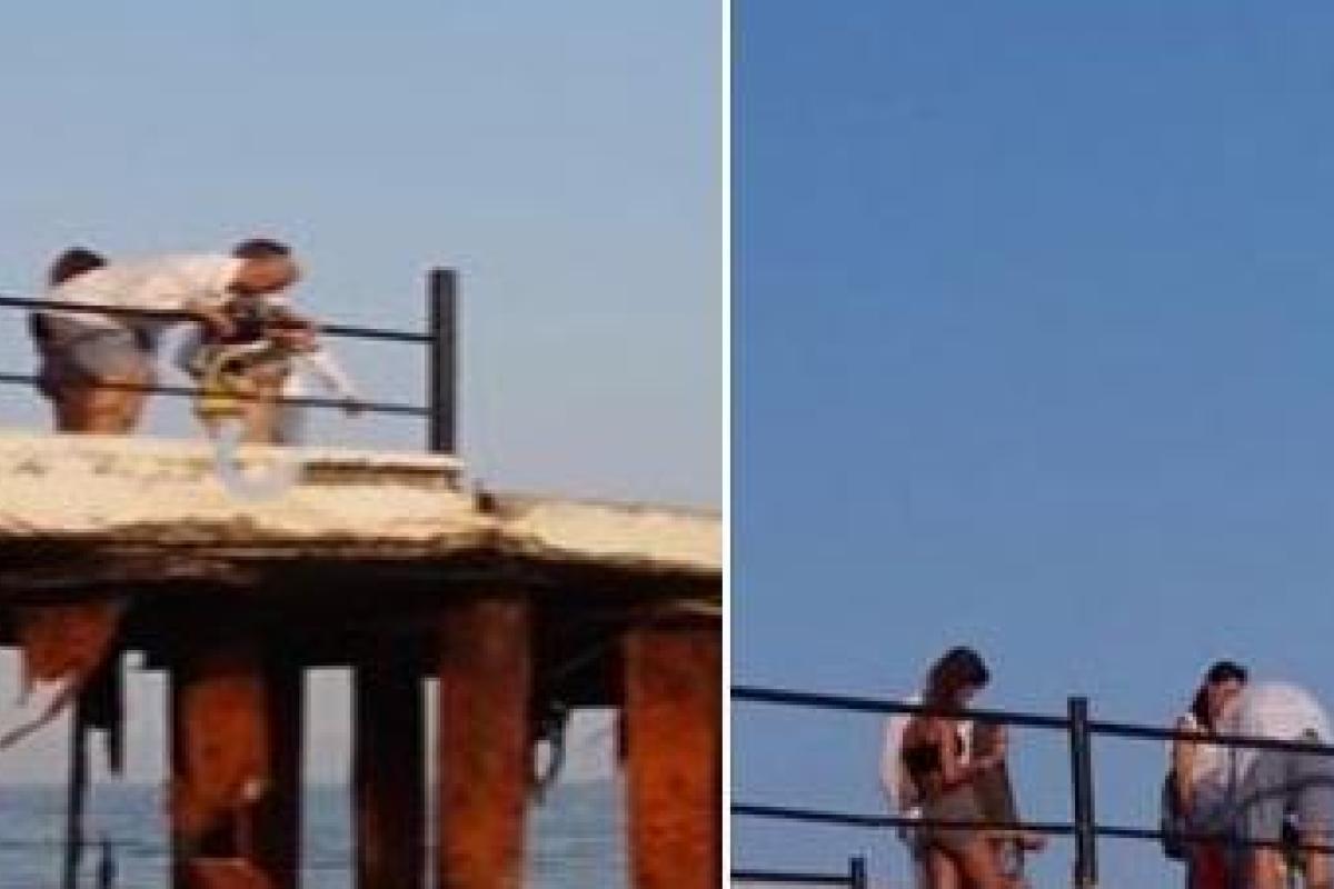 В Ялте родители учат своих детей с...ть с пирса в море: очевидцы в шоке В Ялте родители учат своих детей с...ть с пирса в море: очевидцы в шоке