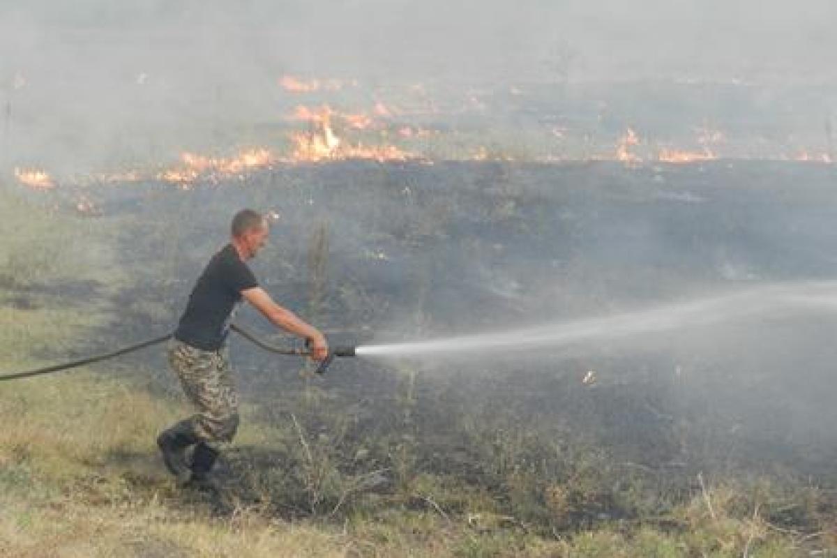 На Херсонщине продолжают тушить масштабный пожар На Херсонщине продолжают тушить масштабный пожар