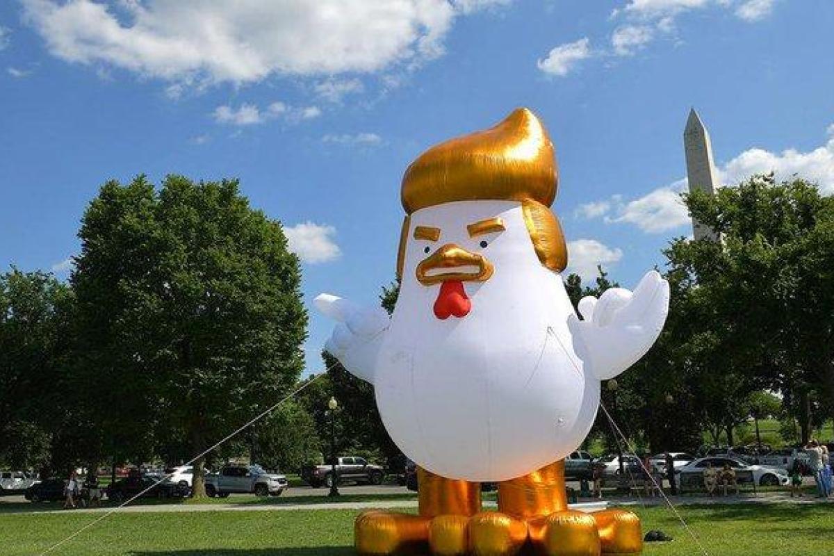 "Цыпленок Дон": Огромная инсталляция птицы с прической Трампа появилась возле Белого дома   "Цыпленок Дон": Огромная инсталляция птицы с прической Трампа появилась возле Белого дома