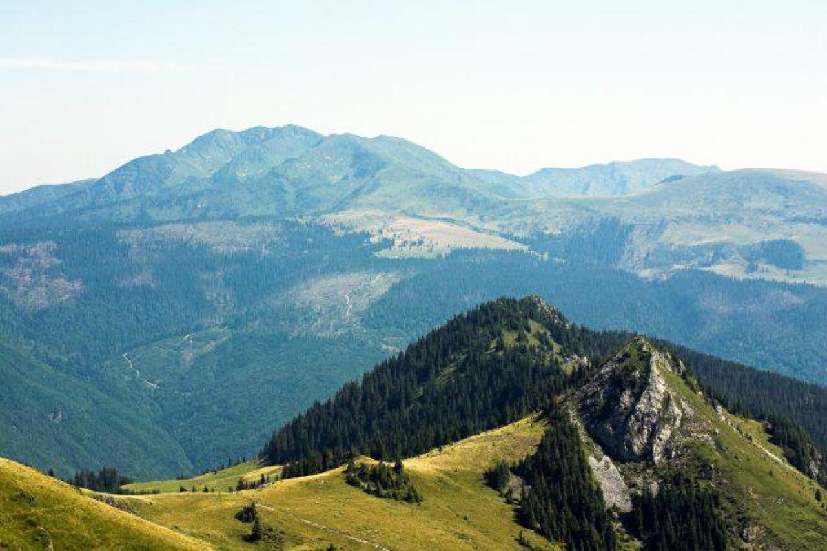 В горах в Закарпатской области спасли заблудившегося 80-летнего чеха В горах в Закарпатской области спасли заблудившегося 80-летнего чеха