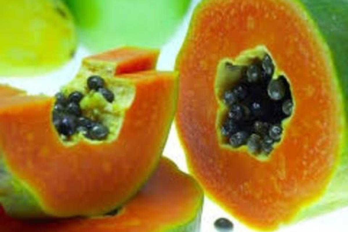 В США прогрессирует смертельная вспышка сальмонеллы: более 100 пострадали В США прогрессирует смертельная вспышка сальмонеллы: более 100 пострадали