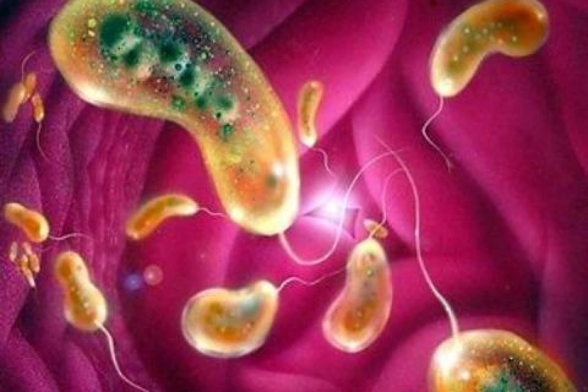 В Николаеве закрыли пляжи из-за возбудителя холеры