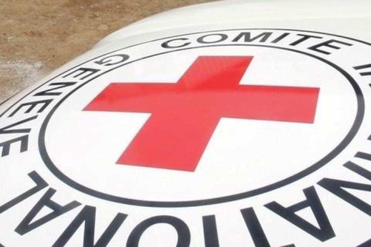 Красный Крест обнародовал статистику погибших за время конфликта на Донбассе