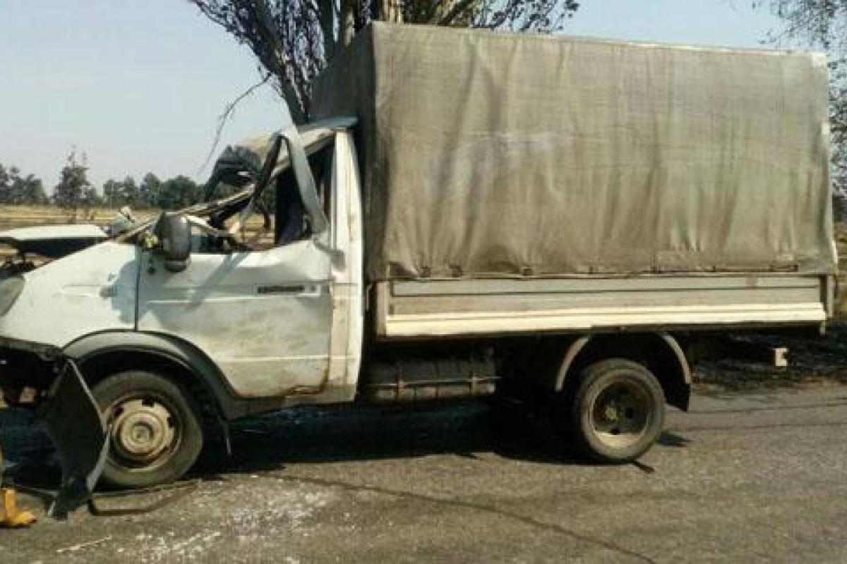 В Донецкой области на "Газель" упало дерево, есть пострадавшие В Донецкой области на "Газель" упало дерево, есть пострадавшие