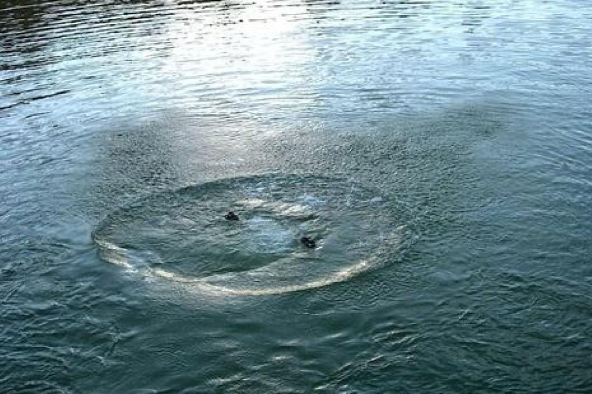 Водолазы подняли на поверхность тело малыша, который утонул из-за перевернувшегося катамарана Водолазы подняли на поверхность тело малыша, который утонул из-за перевернувшегося катамарана