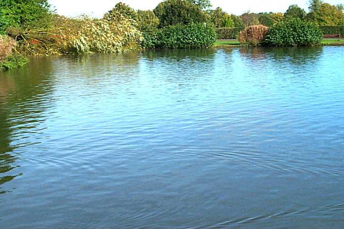 В Тернопольской области утонул 6-летний ребенок