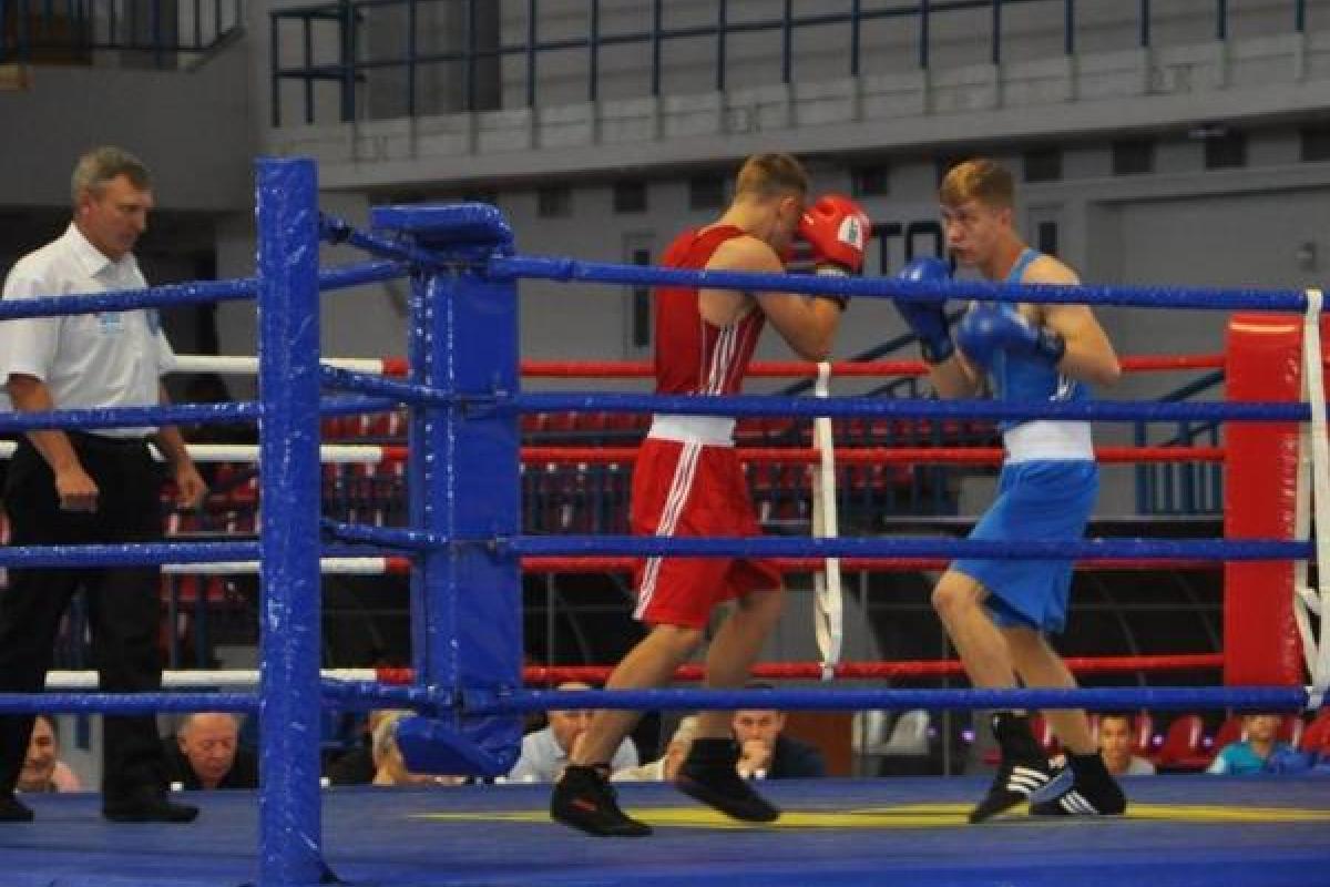 В Мариуполе прошел Кубок Украины по боксу В Мариуполе прошел Кубок Украины по боксу