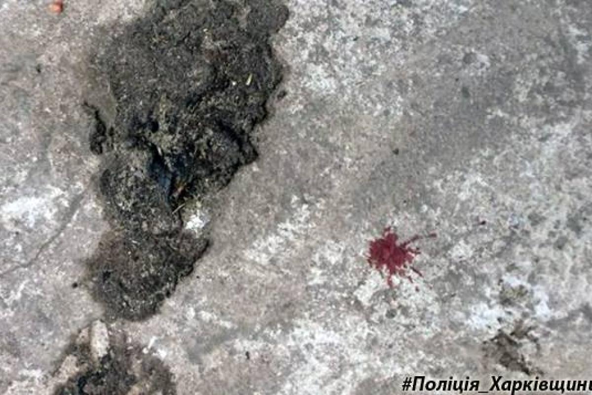 В Харьковской области мужчина выстрелил в бывшую тещу В Харьковской области мужчина выстрелил в бывшую тещу