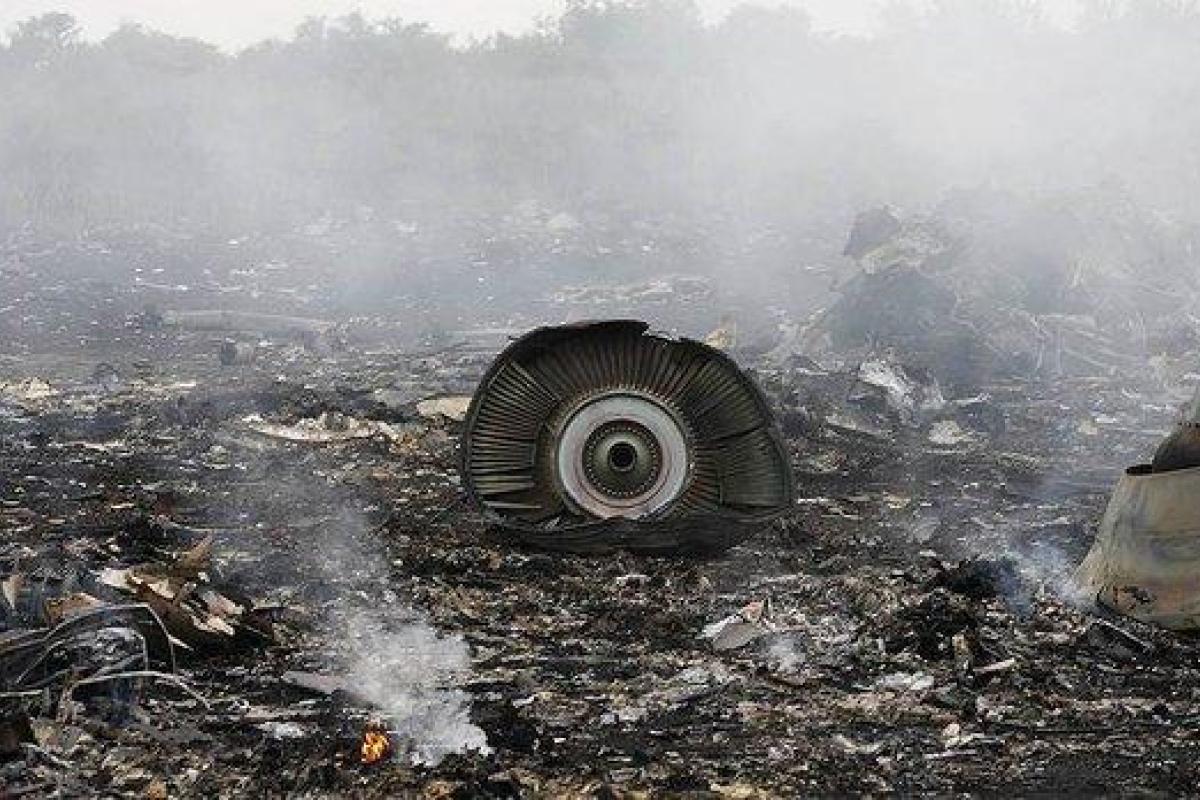 Виновных в деле малайзийского "Боинга" будет судить Гаагский суд Виновных в деле малайзийского "Боинга" будет судить Гаагский суд