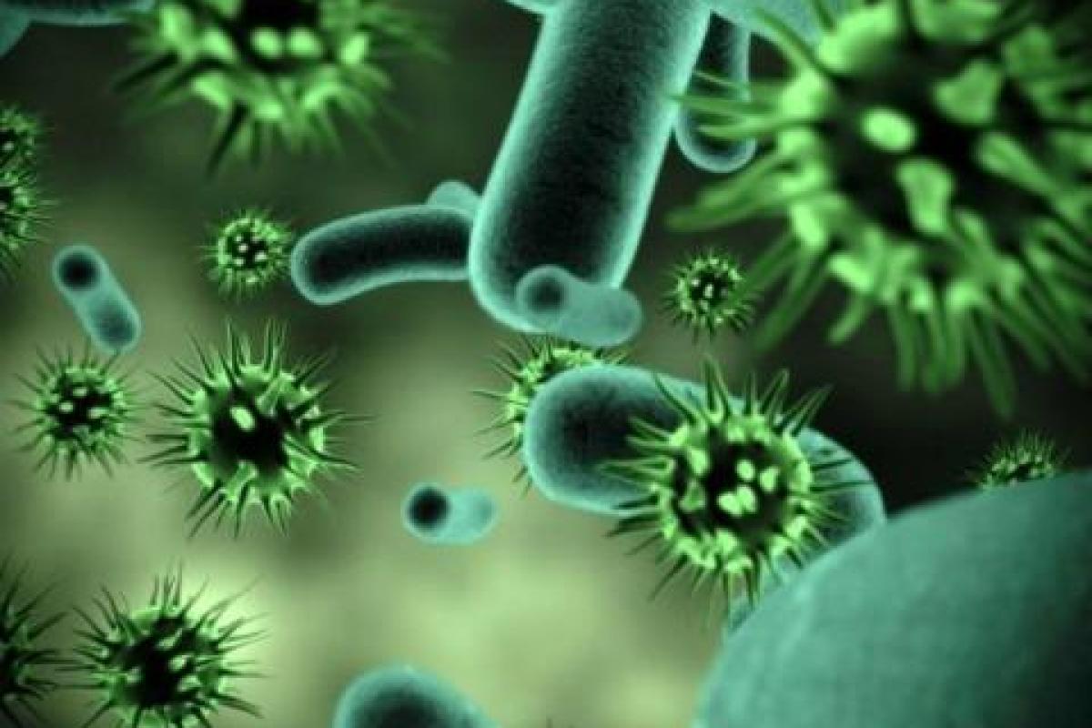 В Львовской области эвакуировали 41 человек из-за кишечной инфекции 