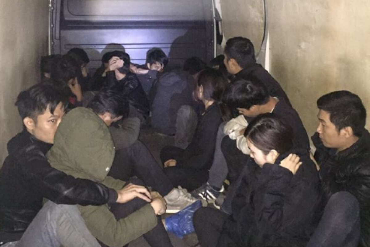 Во Львовской области обнаружили "скотовозку", в которой перевозили нелегалов в ЕС Во Львовской области обнаружили "скотовозку", в которой перевозили нелегалов в ЕС