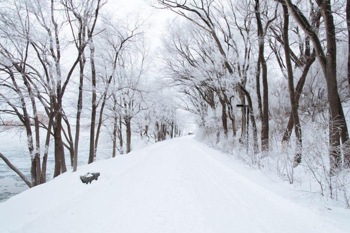 Ученые: Грядущая зима будет самой холодной за последнее столетие 