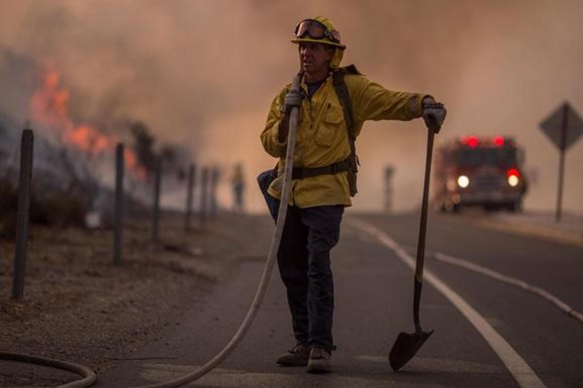 В лесах Калифорнии заживо сгорели 17 человек: Трамп отреагировал на ситуацию В лесах Калифорнии заживо сгорели 17 человек: Трамп отреагировал на ситуацию