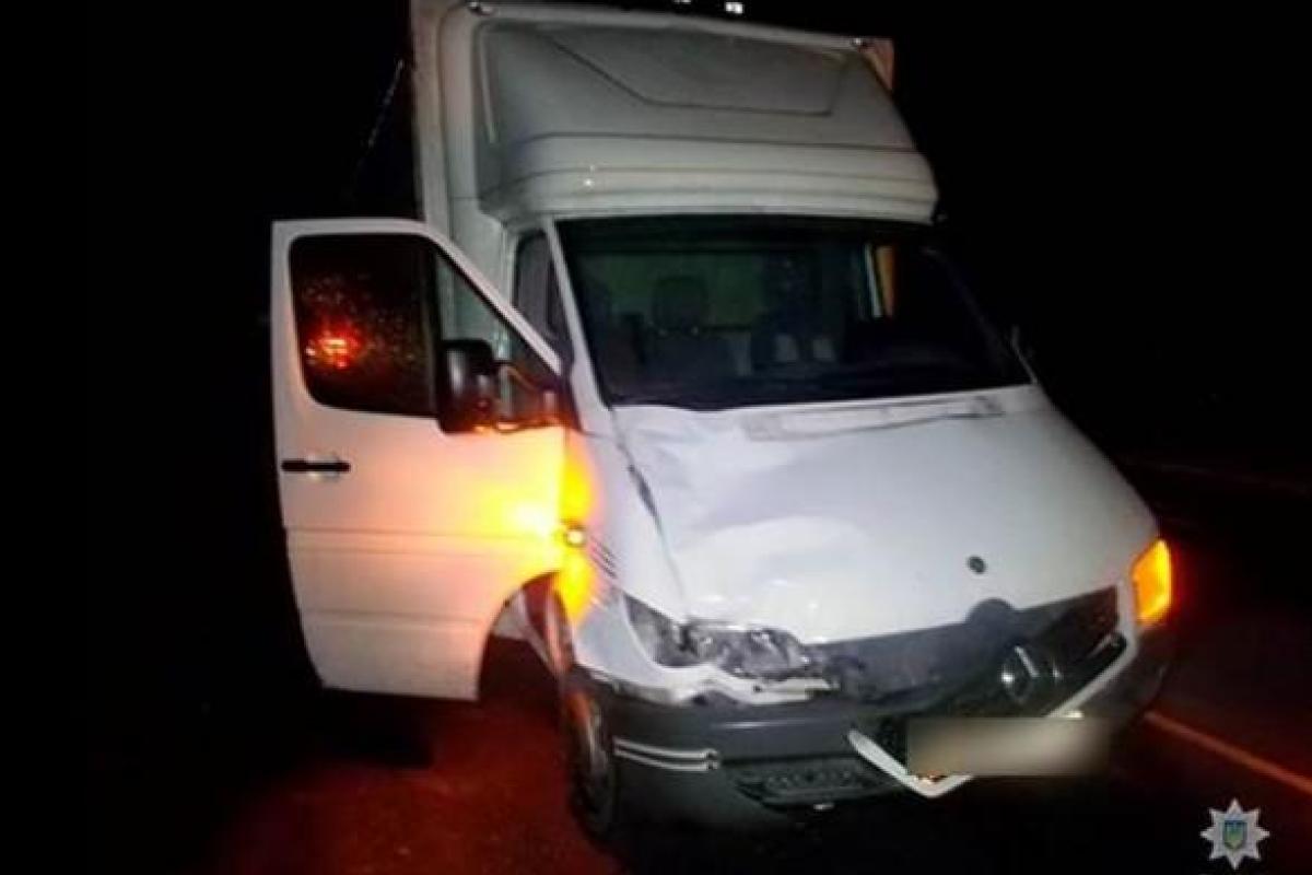 Под колесами грузовика в Запорожской области погибла женщина Под колесами грузовика в Запорожской области погибла женщина