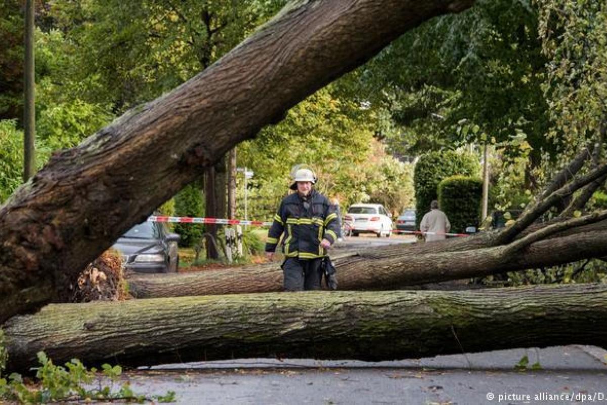 Шторм в Германии забрал жизни минимум шести человек
