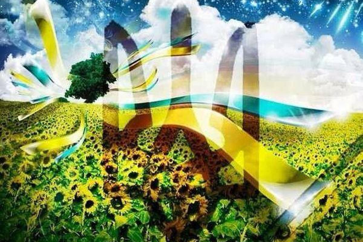 День защитника Украины: как жители страны воспринимают праздник