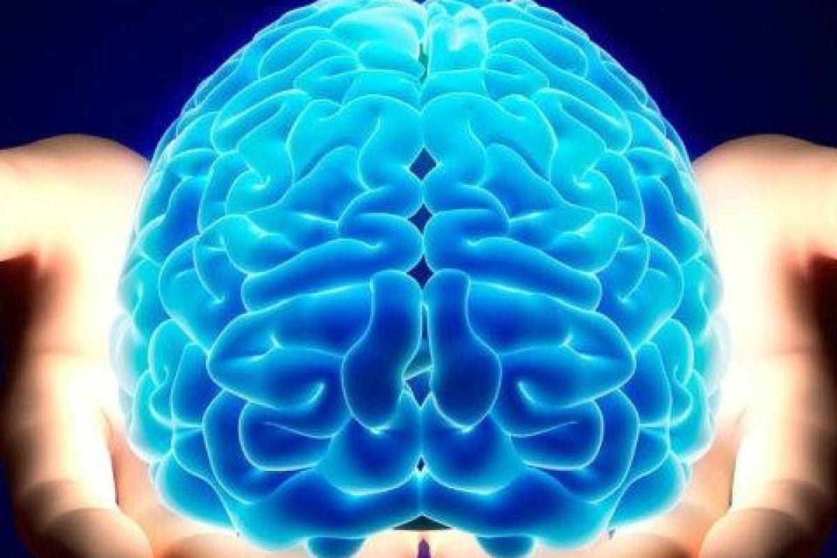Ученые изобрели устройство, которое стимулирует умственную деятельность