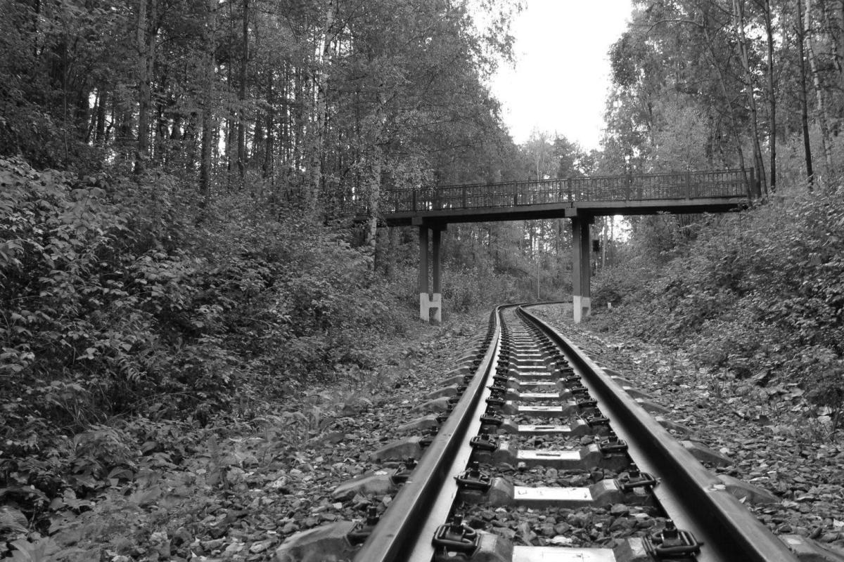 В Лисичанске полицейские спасли женщину от самоубийства  В Лисичанске полицейские спасли женщину от самоубийства