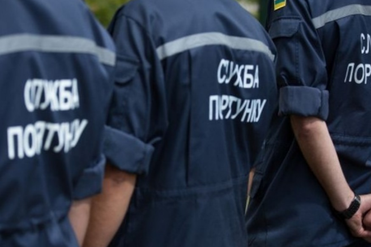 В Одессе дерево рухнуло на автомобиль