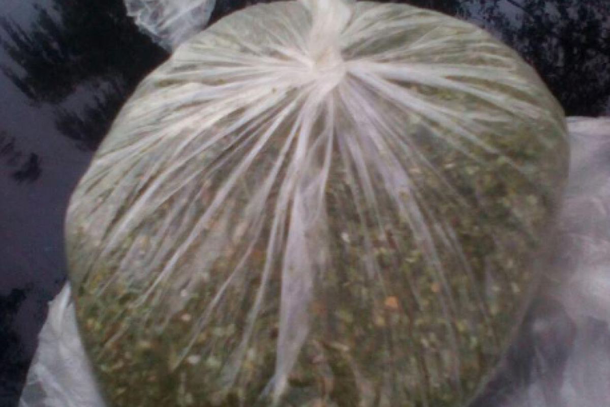 В Сумах задержали мужчину с наркотиками В Сумах задержали мужчину с наркотиками