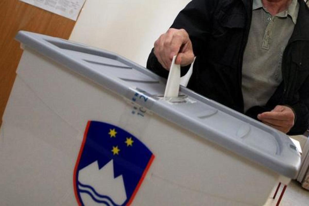 Стало известно, кто победил на выборах в Словении